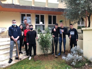 Zasadi stablo ne budi panj